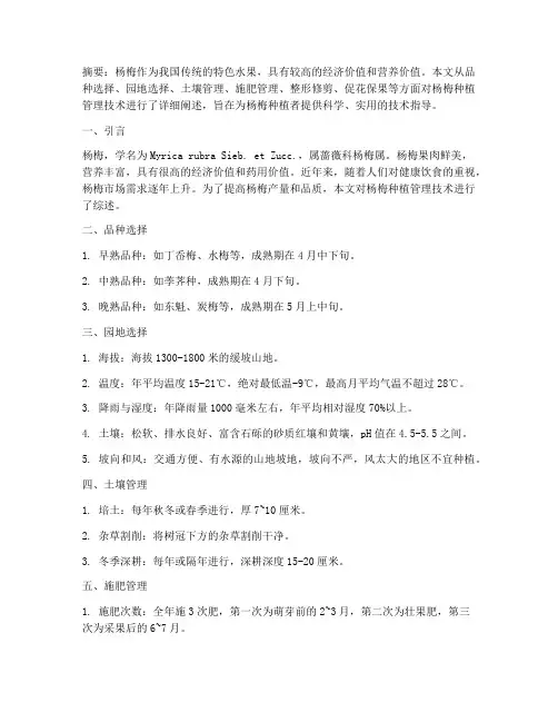 杨梅种植管理技术论文
