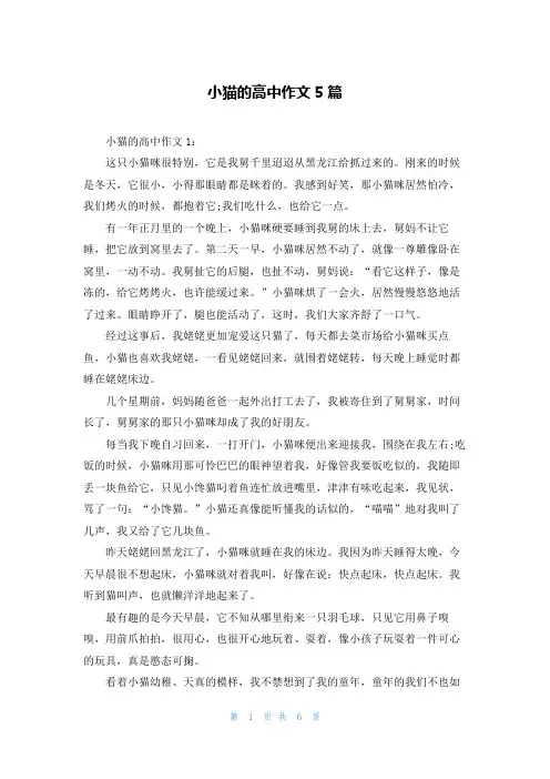 小猫的高中作文5篇