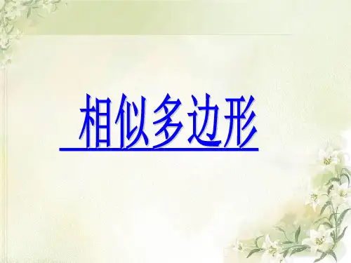 北师大版九年级数学上册第4章第3节相似多边形(共19张PPT)