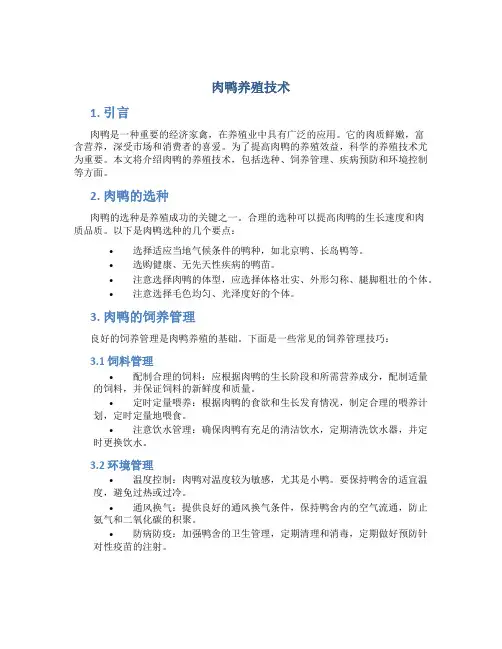 肉鸭养殖技术