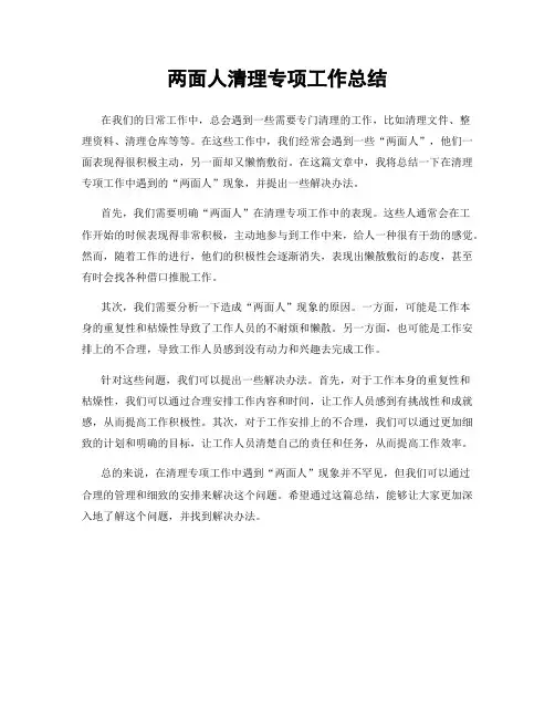 两面人清理专项工作总结