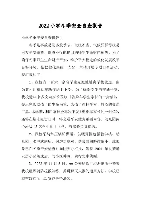 2022小学冬季安全自查报告
