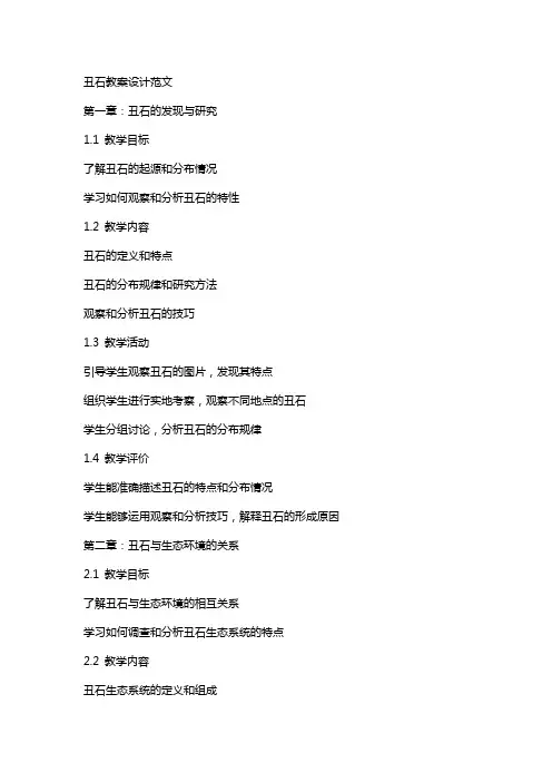 丑石教案设计范文