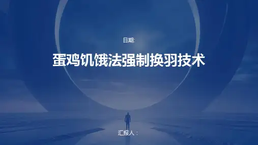 蛋鸡饥饿法强制换羽技术
