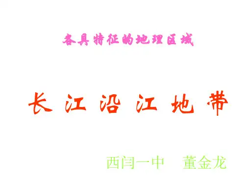 长江沿江地带董金龙课件