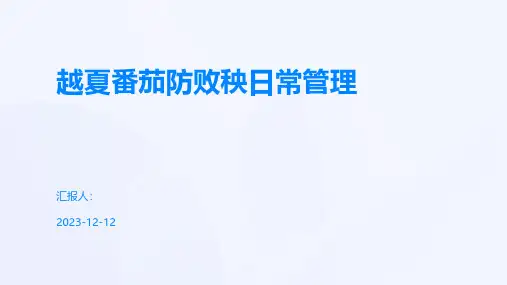越夏番茄防败秧日常管理