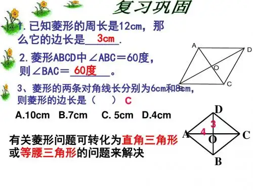 1.1菱形的性质与判定(2)