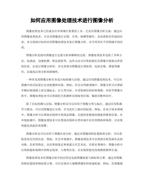 如何应用图像处理技术进行图像分析