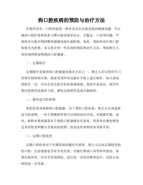狗口腔疾病的预防与治疗方法