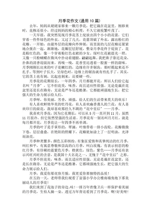 中小学精选月季花作文(通用10篇)