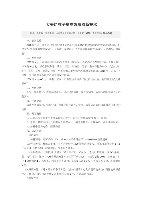 大姜烂脖子病高效防治新技术