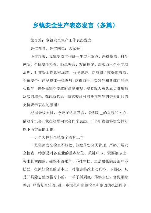 乡镇安全生产表态发言(多篇)