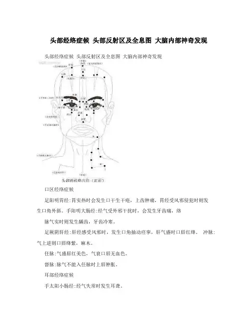 头部经络症候 头部反射区及全息图 大脑内部神奇发现
