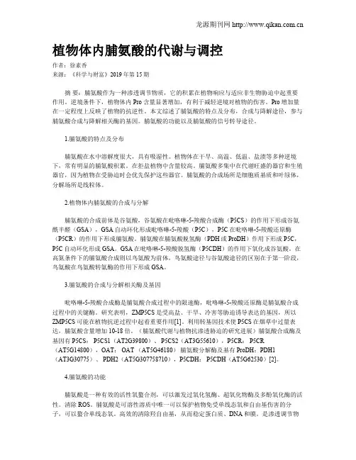 植物体内脯氨酸的代谢与调控