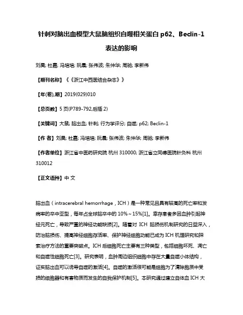 针刺对脑出血模型大鼠脑组织自噬相关蛋白p62、Beclin-1表达的影响
