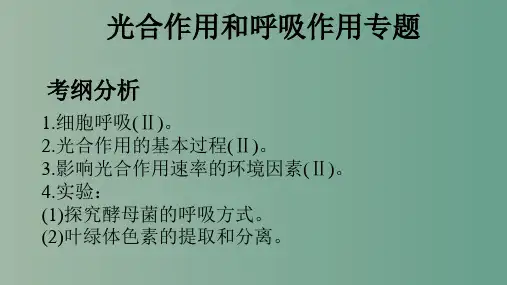 光合作用和呼吸作用专题 生物高考复习 教学PPT课件