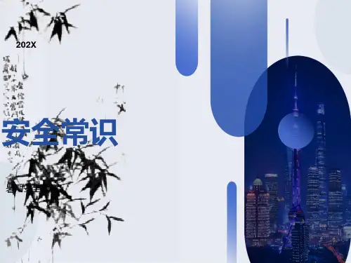 暑期安全教育课件PPT