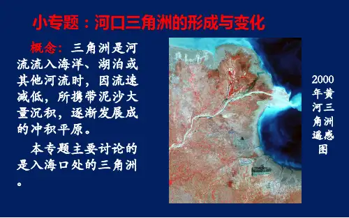 河口三角洲的形成与变化