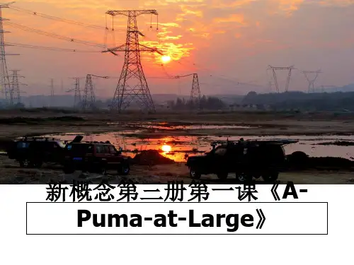 最新新概念第三册第一课《A-Puma-at-Large》ppt课件