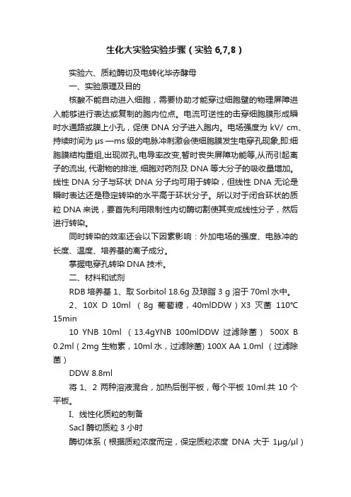 生化大实验实验步骤（实验6,7,8）