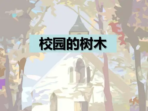 《校园的树木》植物ppt经典课件