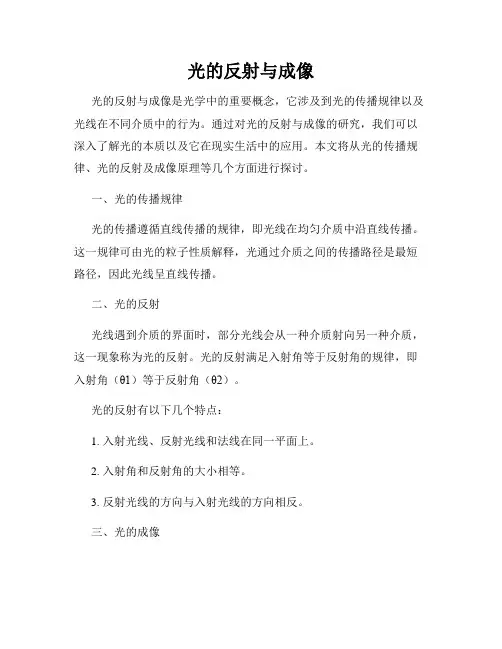 光的反射与成像