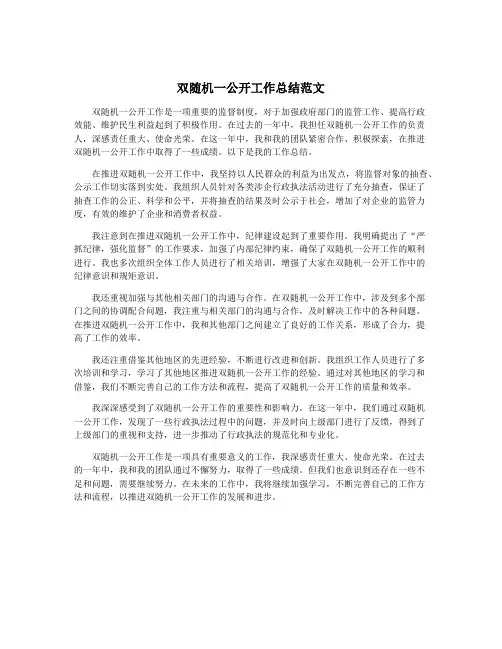 双随机一公开工作总结范文