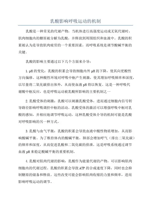 乳酸影响呼吸运动的机制