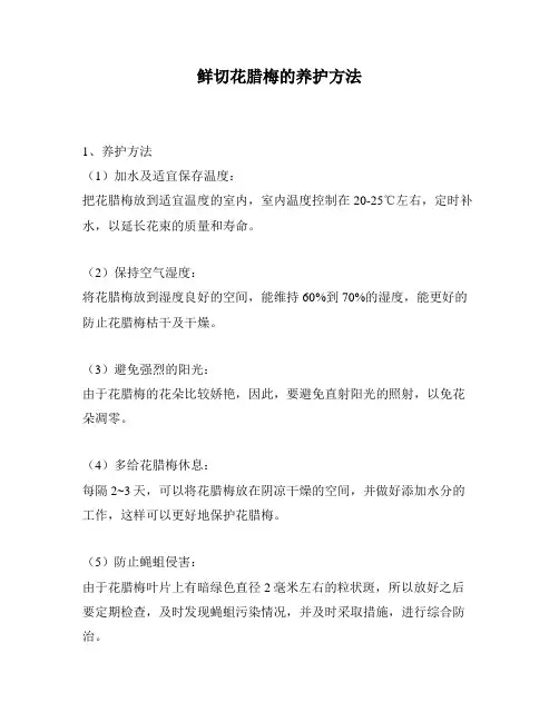 鲜切花腊梅的养护方法