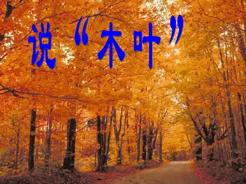 说木叶优秀课件