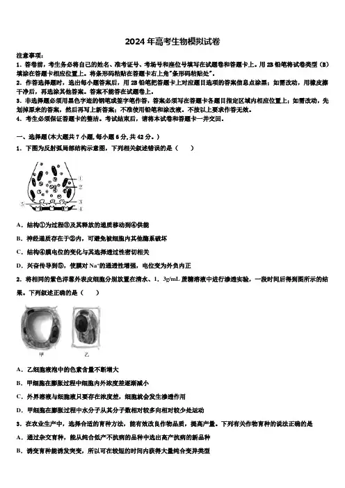 2024届湖南省衡阳市高三最后一卷生物试卷含解析