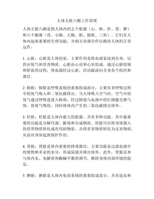 人体五脏六腑工作原理