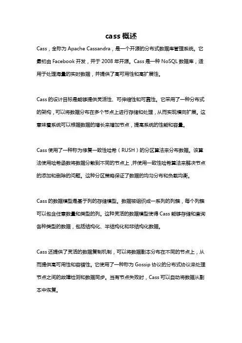 cass概述