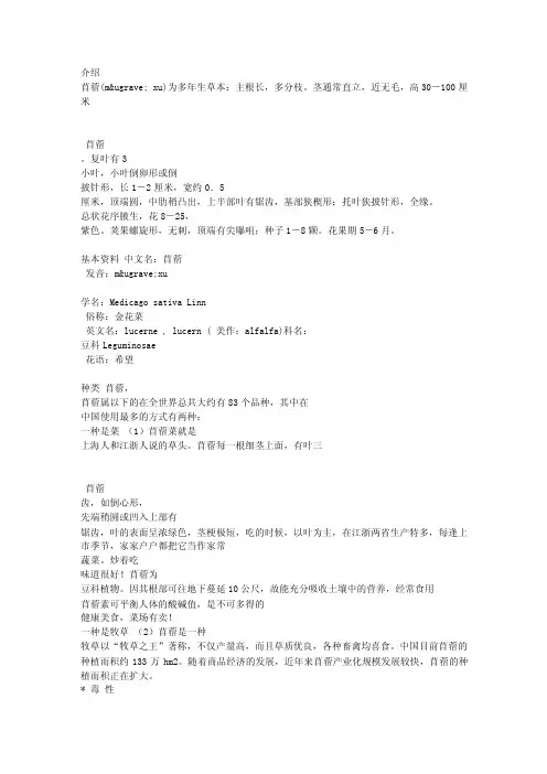 苜蓿——精选推荐