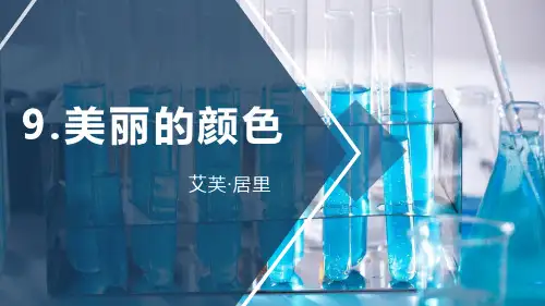 《美丽的颜色》PPT精品课件
