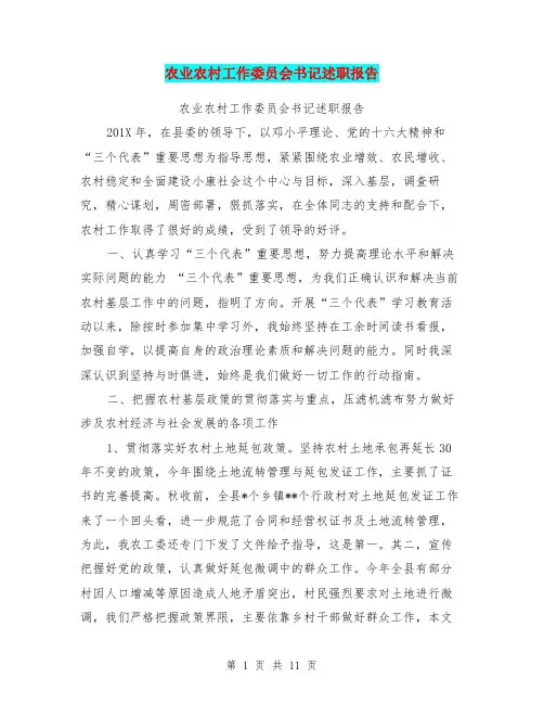 农业农村工作委员会书记述职报告