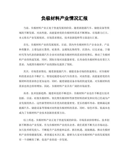 负极材料产业情况汇报