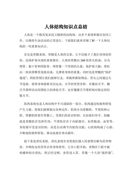 人体结构知识点总结