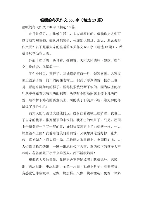 温暖的冬天作文650字(13篇)