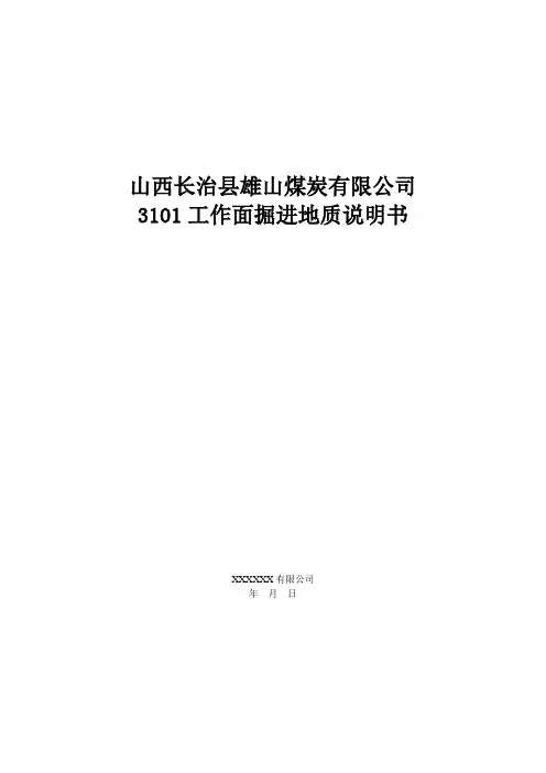 3101工作面掘进地质说明书