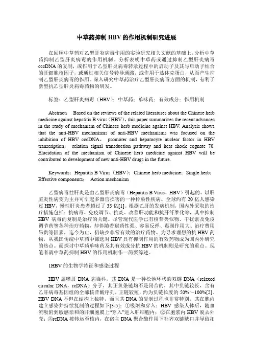 中草药抑制HBV的作用机制研究进展