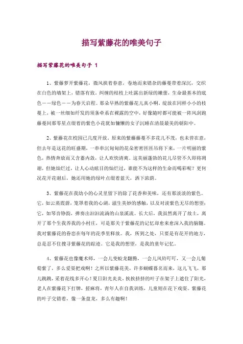 描写紫藤花的唯美句子 