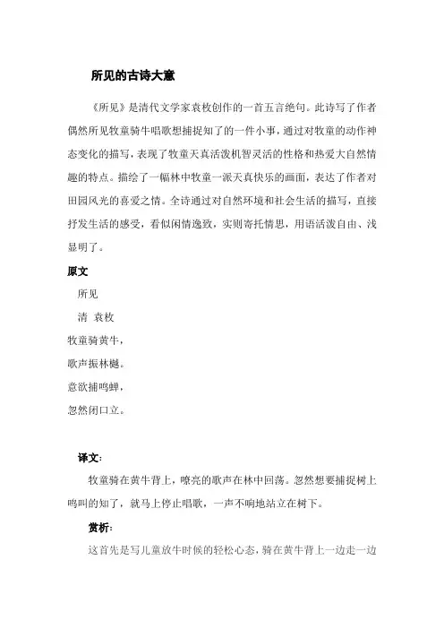所见的古诗大意