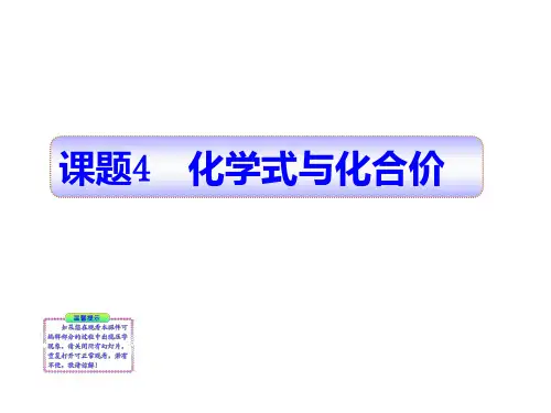 初中化学第四单元 课题四化学式与化合价PPT课件