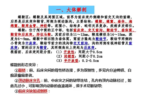 蝶鞍的解剖