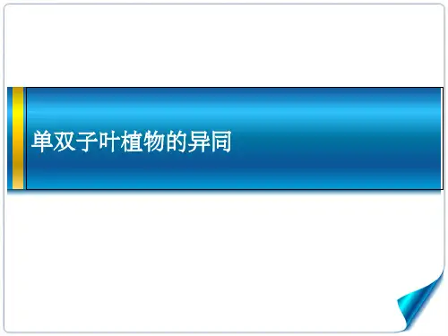 单双子叶植物的区别