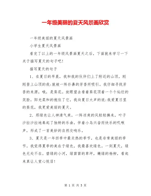 一年级美丽的夏天风景画欣赏