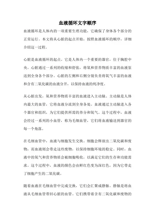血液循环文字顺序