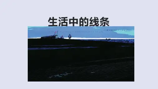 人教版四年级上册美术第4课生活中的线条课件(共20张PPT)