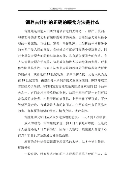 饲养吉娃娃的正确的喂食方法是什么